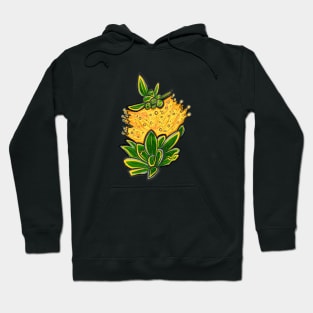 Australian Native Flower - Yellow Bottlebrush Hoodie